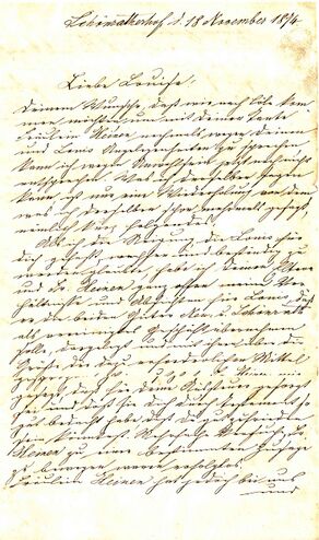 Brief von Heinrich Litz von 1874